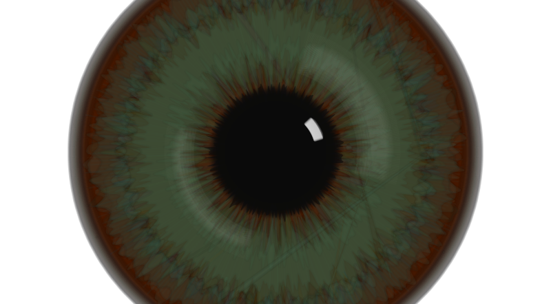 The image from Generative iris