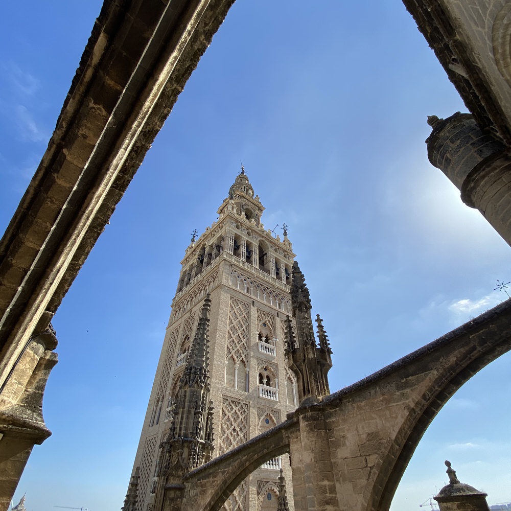 Picture I took from La Giralda, Sevilla