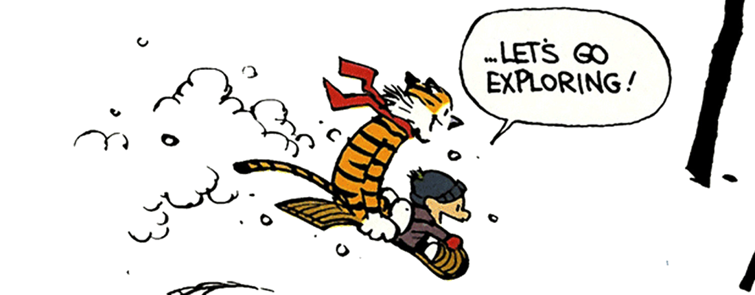 Calvin &amp; Hobbes, by Bill Waterson