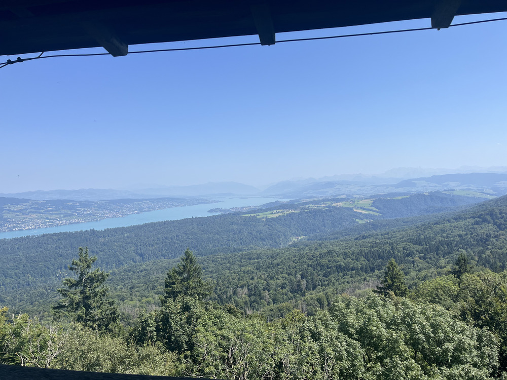 A picture from the hike